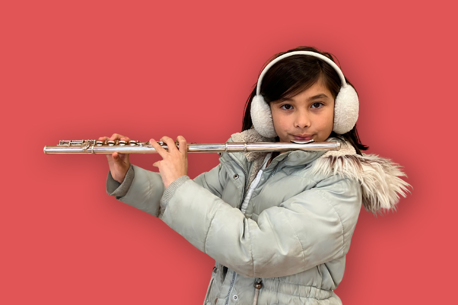 Orchestra performance